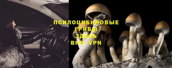 хмурый Каменск-Шахтинский