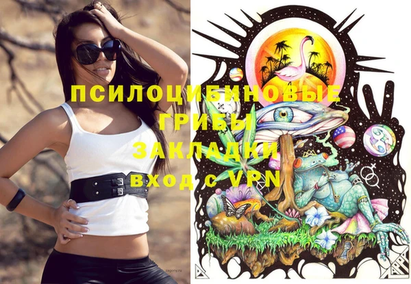 MESCALINE Каменка