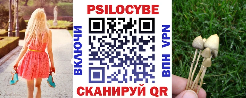 Купить где  Вичуга  Псилоцибиновые грибы GOLDEN TEACHER 